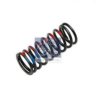MERCE 4030531022 Valve Spring